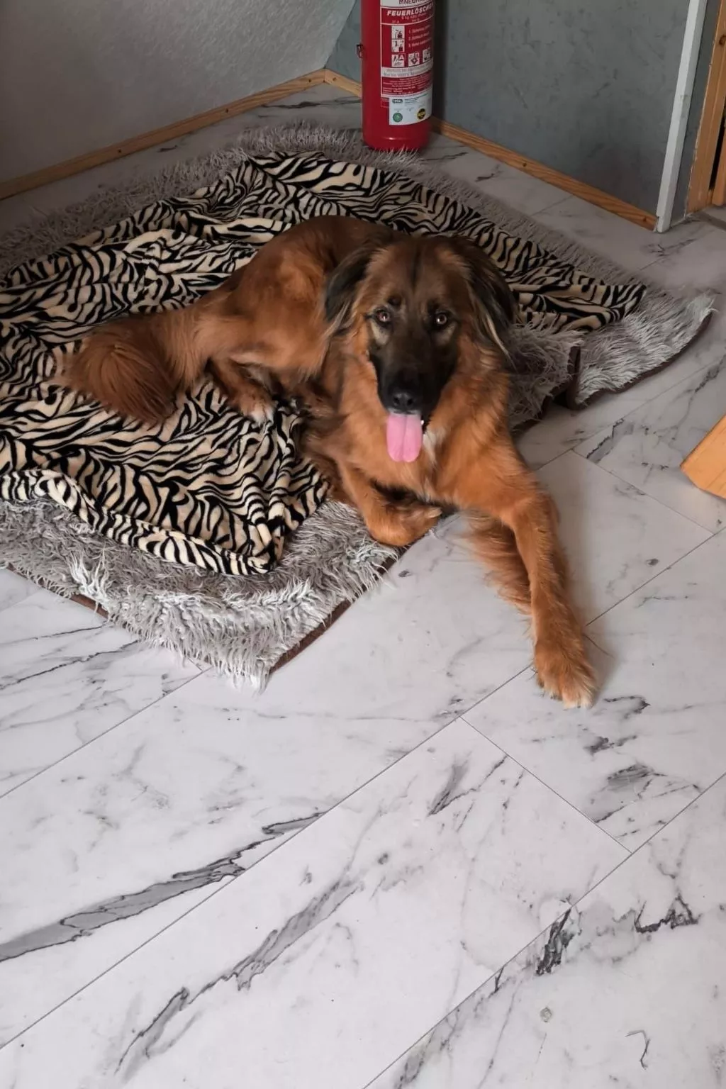 Finnhaus-Image-tags.info