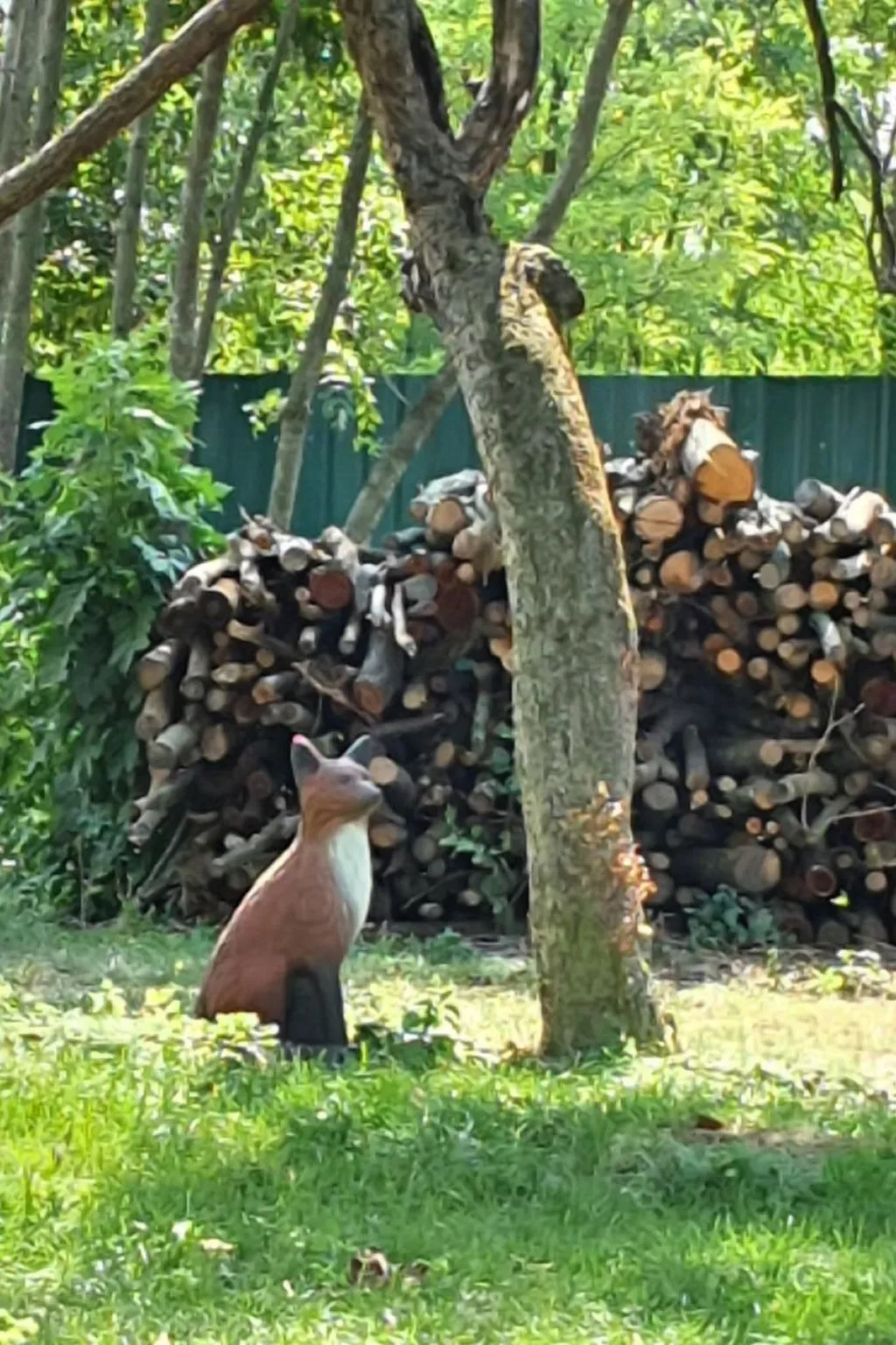 In Lócs mit Privatem Pool-Outside