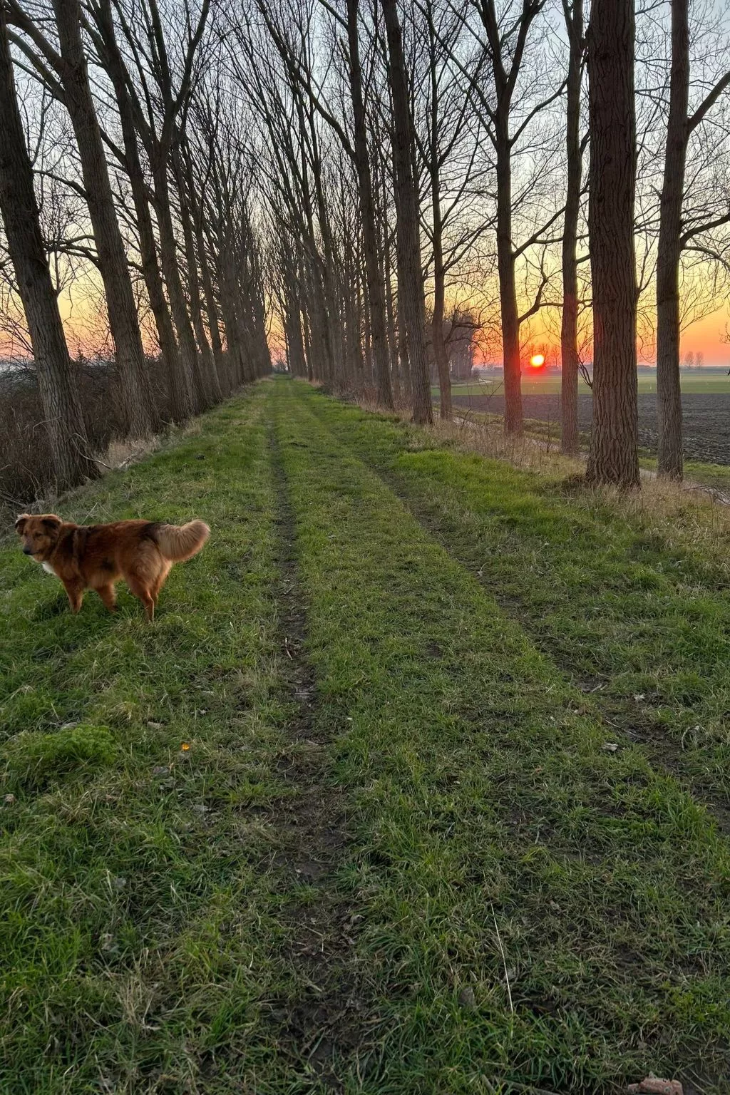 Luxus-App in der Scheune "Strandje groote Nol"-Draußen