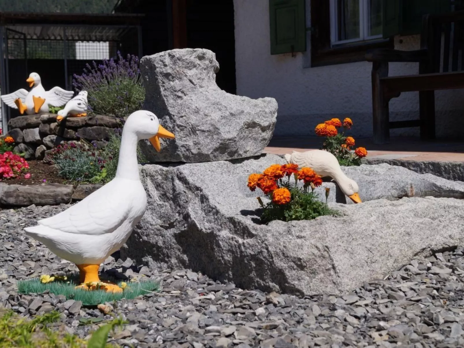 Chalet Alpenrösli - Dehors
