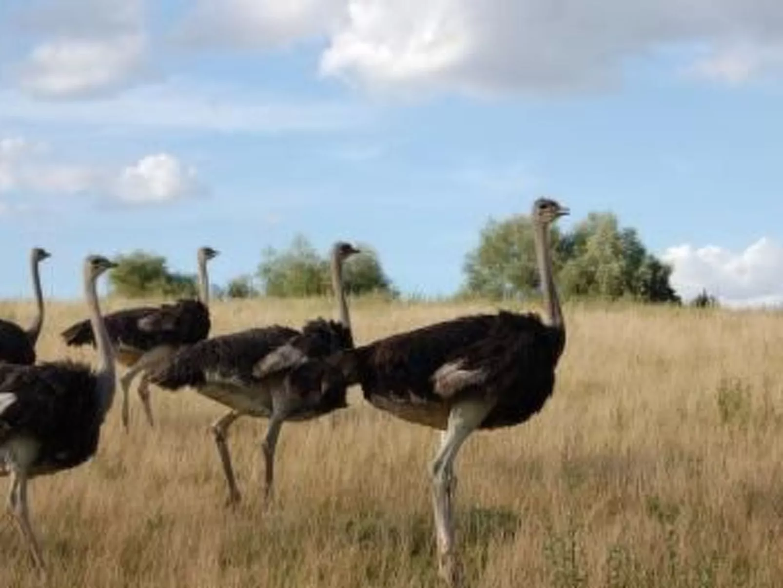 Alleenwiesen-Outside