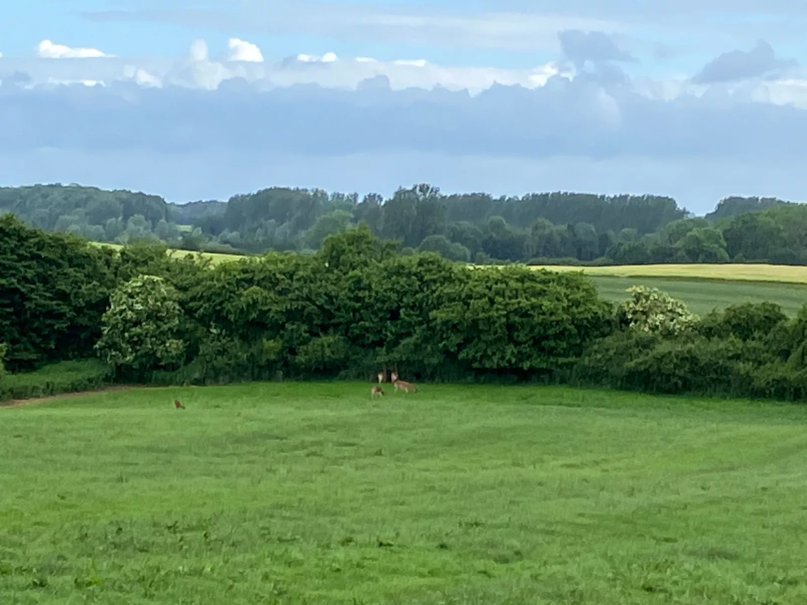 Appartement im Ostseebad Schönhagen-Dehors