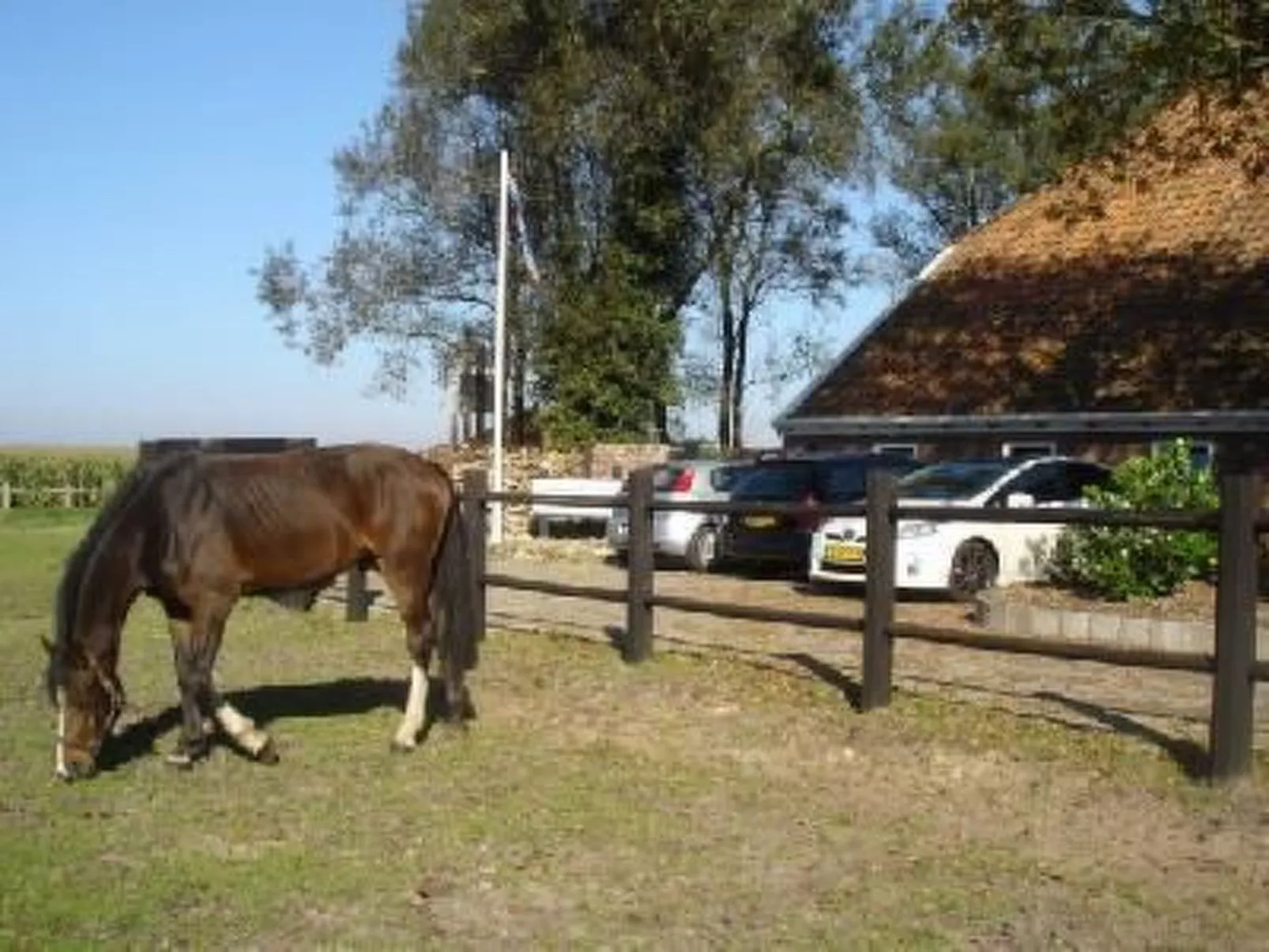 Gemütlicher Ferienhof Loosternest in Vriescheloo-Image-tags.info