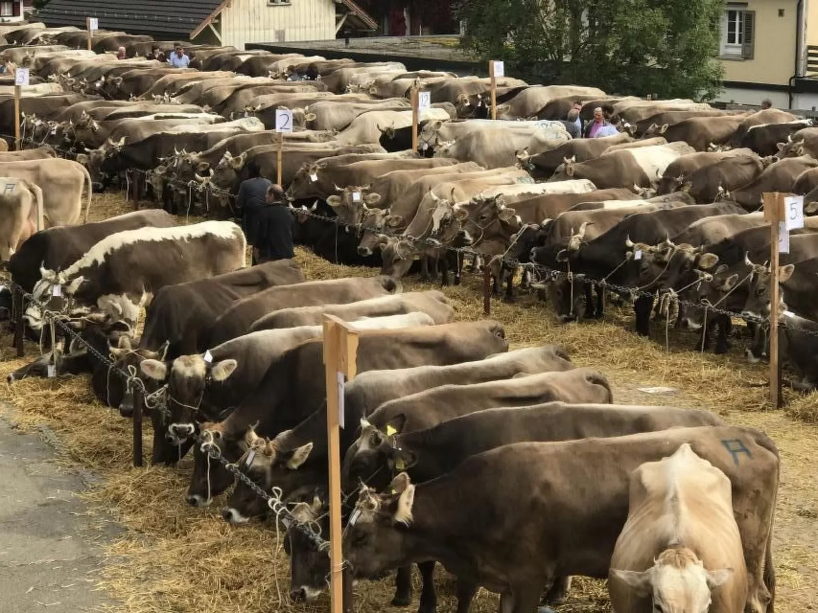 Im Dorf Urnäsch-Draußen