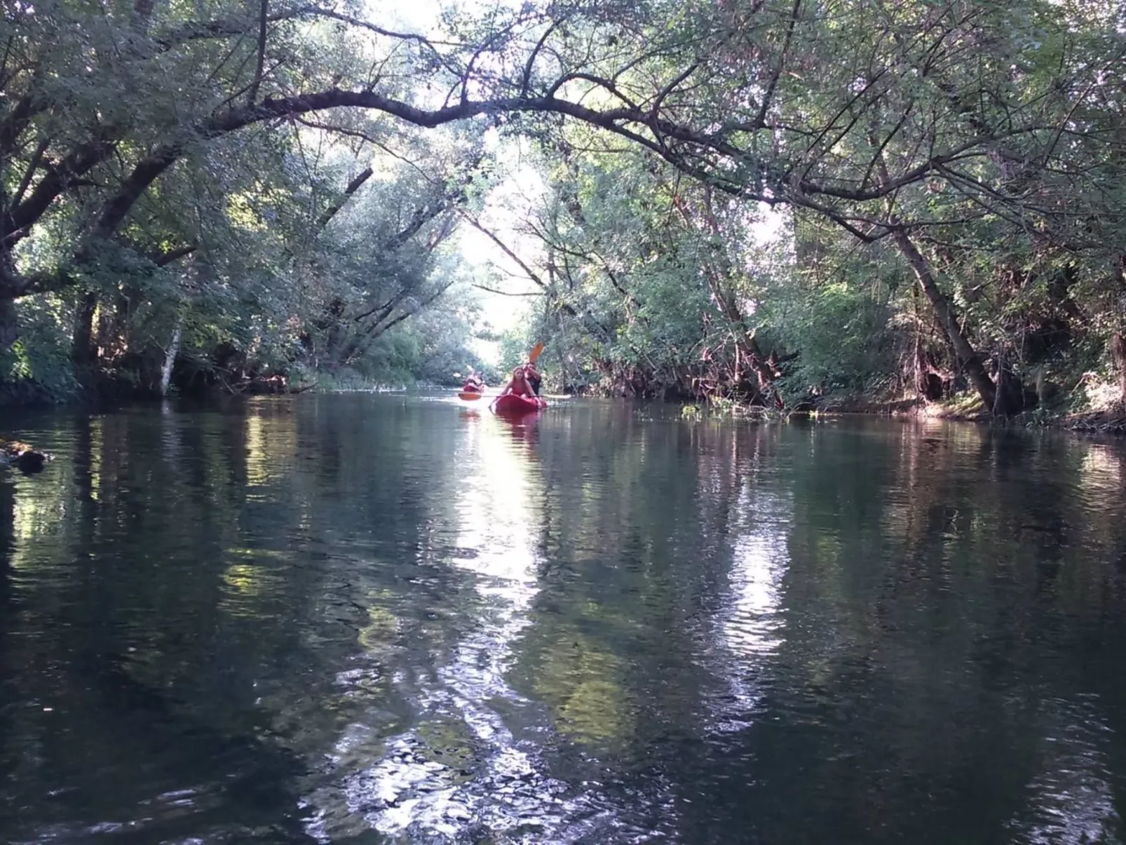 Freistehende Villa Iva Grubine mit Privatpool-Image-tags.info