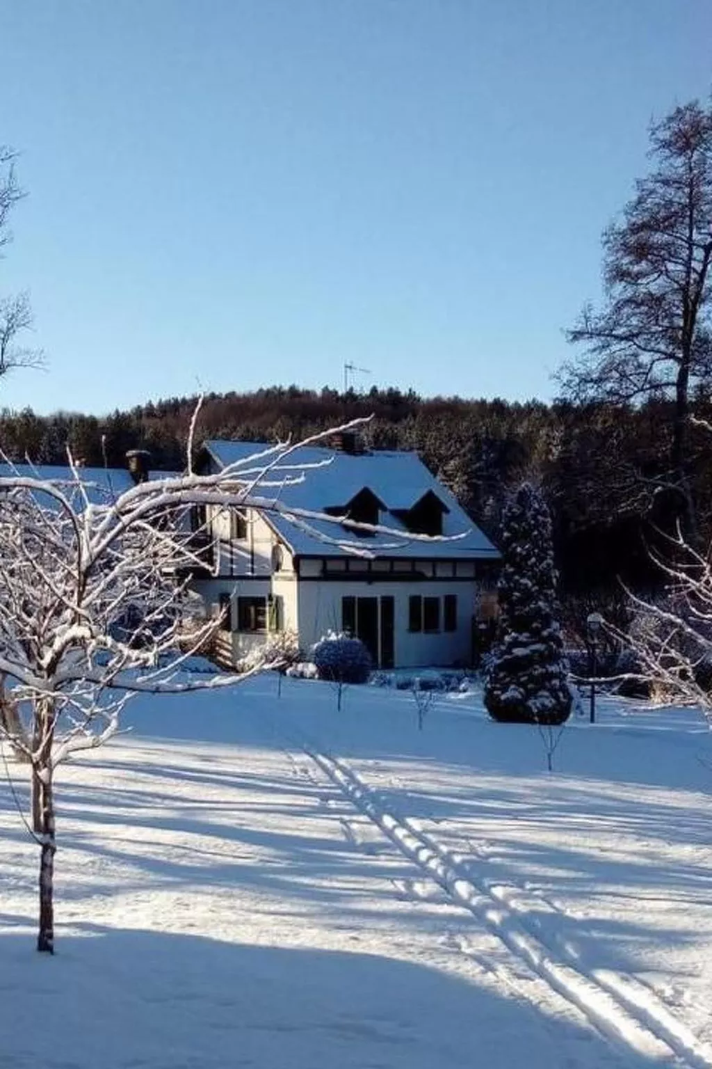 Kavčín Mlyn-Dehors