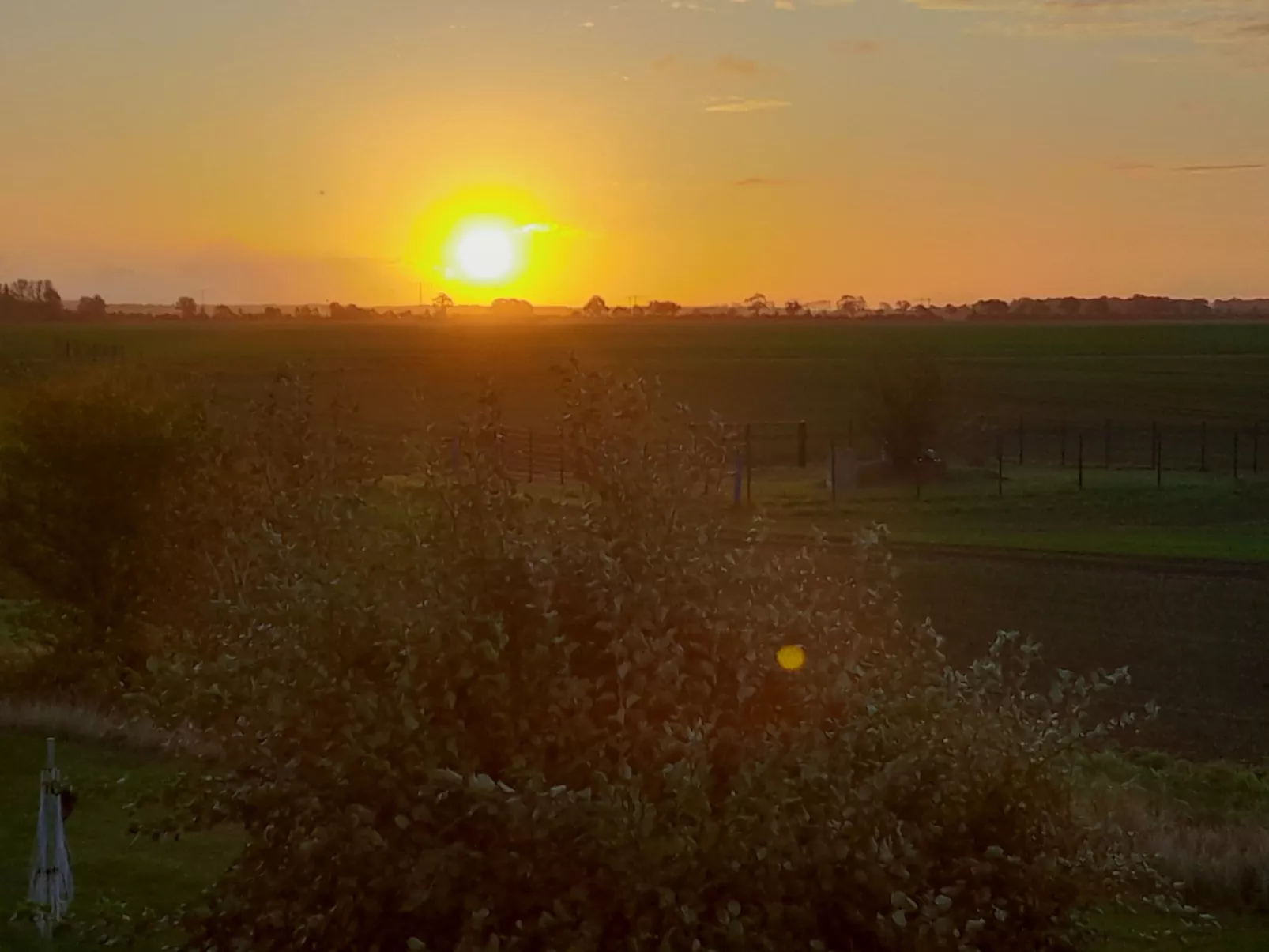 Seeschwalbe-Draußen