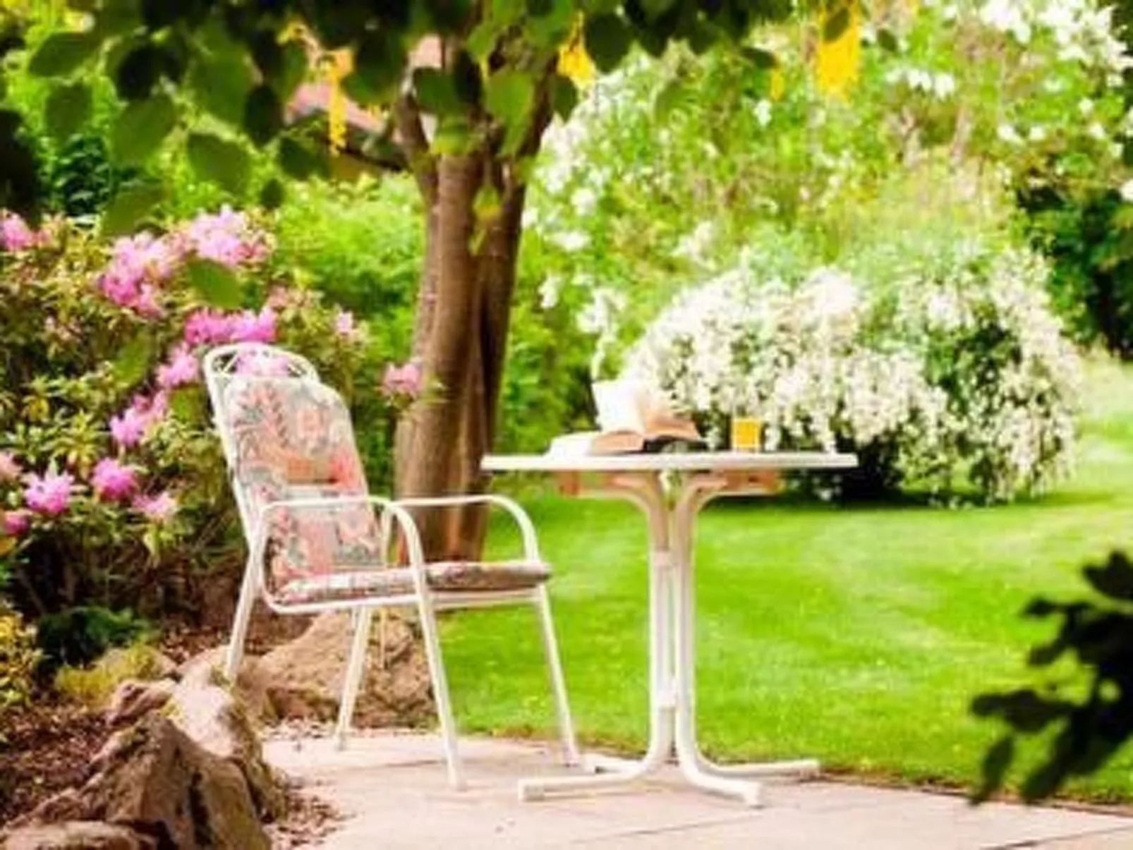 Ahorn Studio in Bad Dürrheim-Image-tags.info