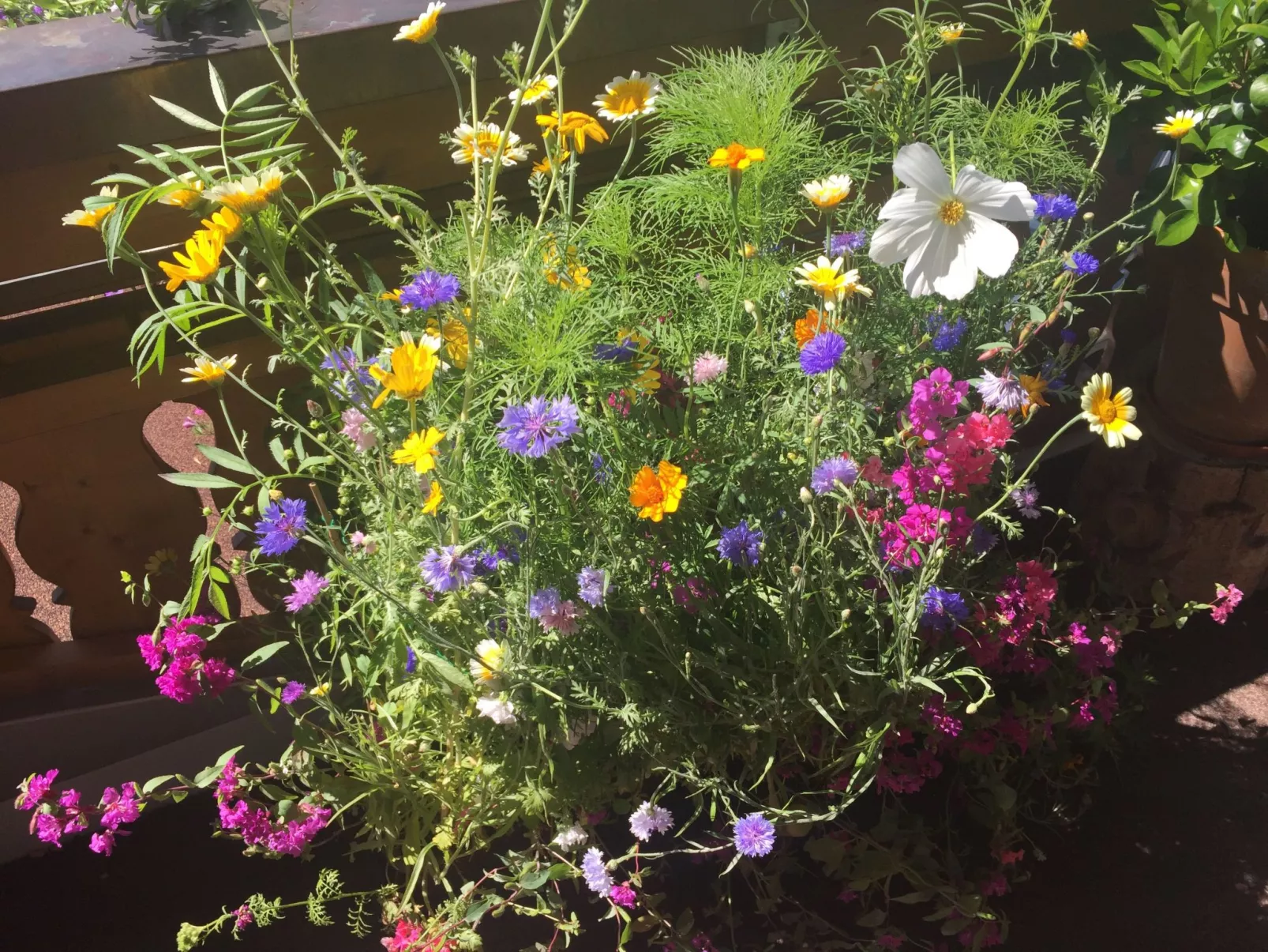 Fewo Bergblick lodge-Outside