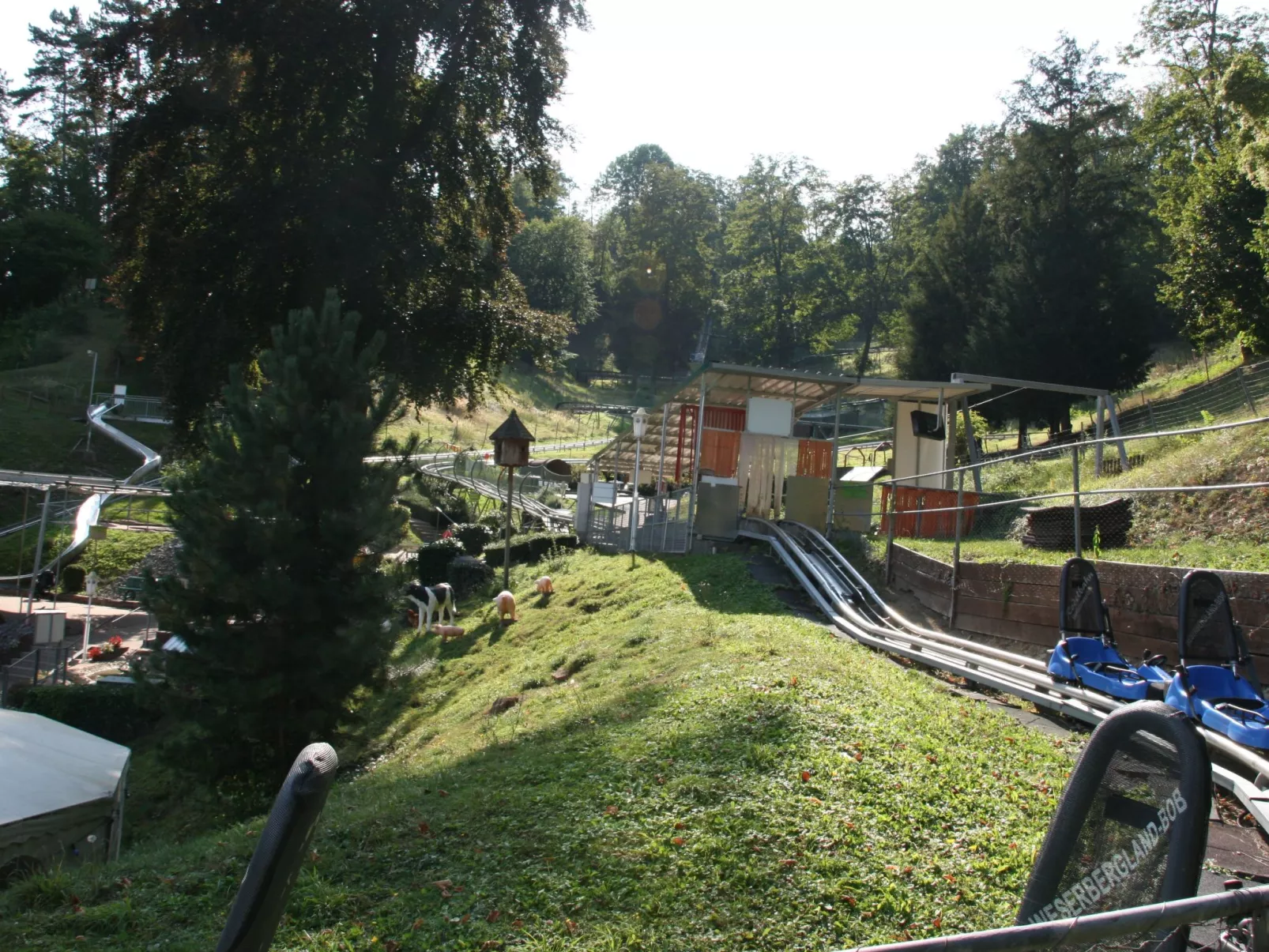 Apartment mit Hund-Draußen