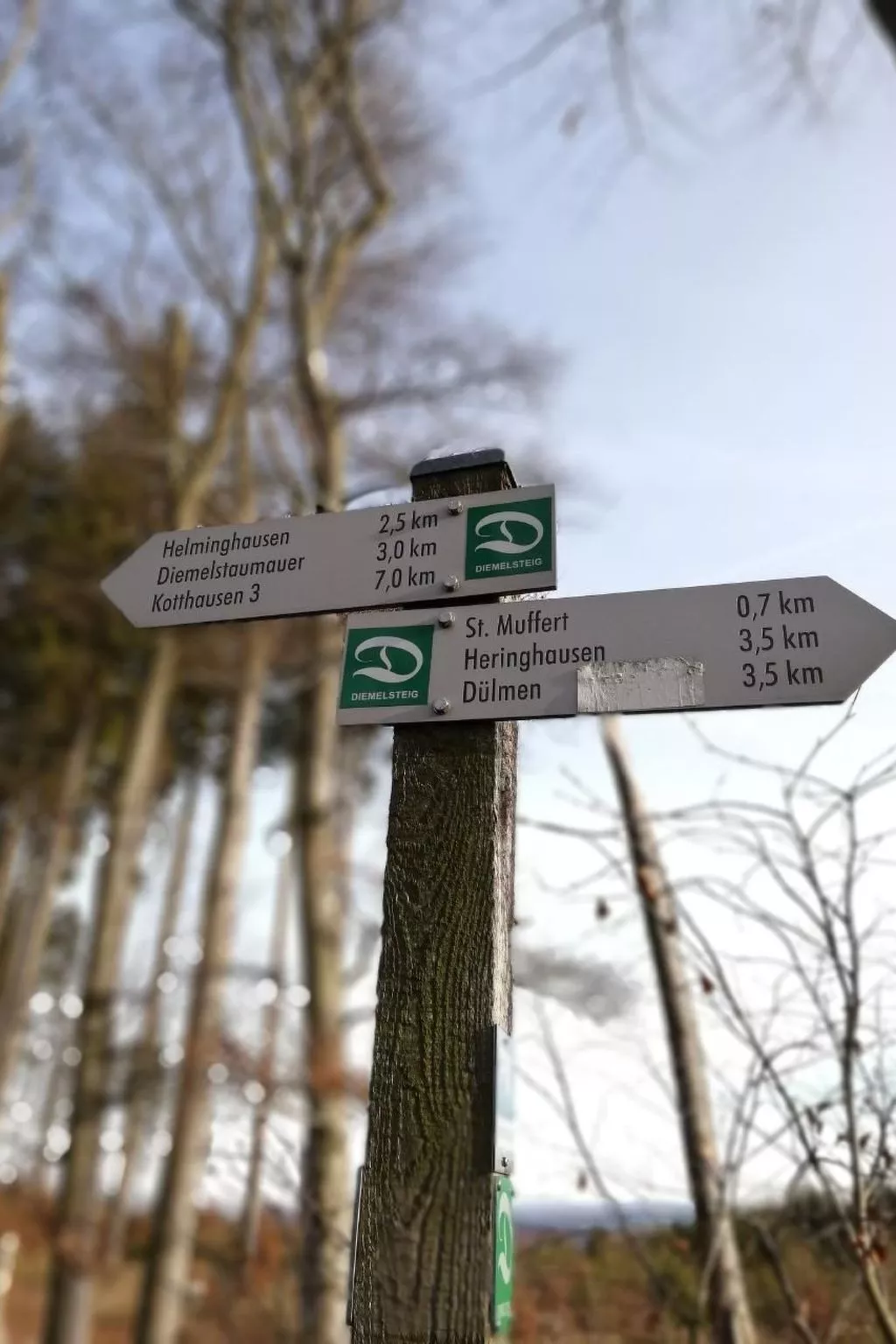 Haus Schnurbus - Outside