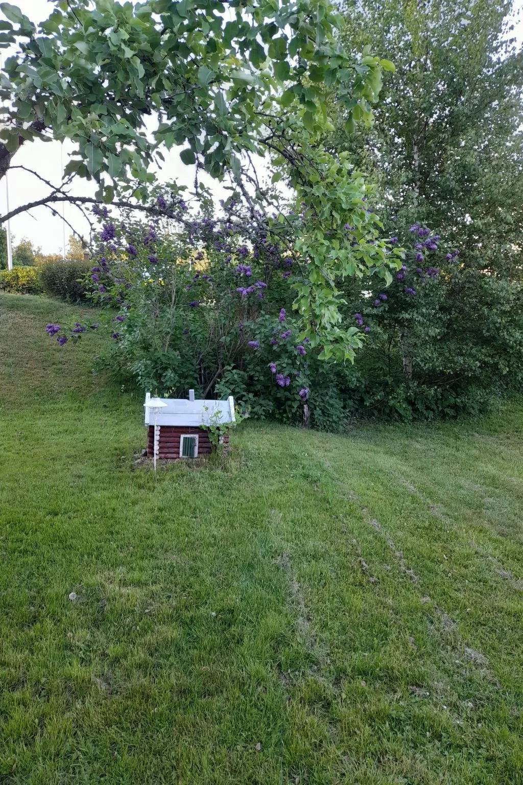 Typisch schwedisches Ferienhaus mit Garten-Dehors