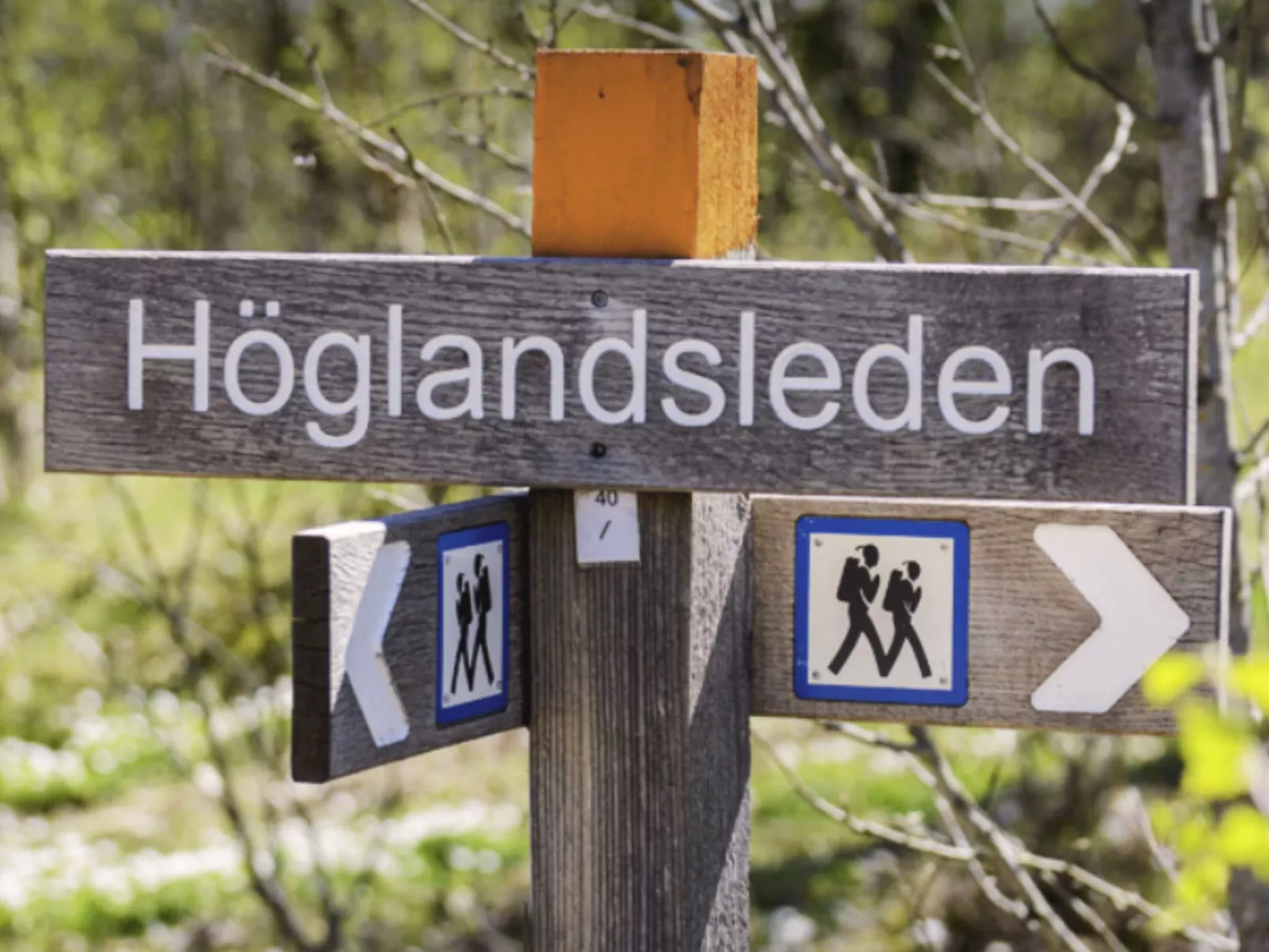 Gemütliches Ferienhaus Angermanland - höga Kusten-Image-tags.info