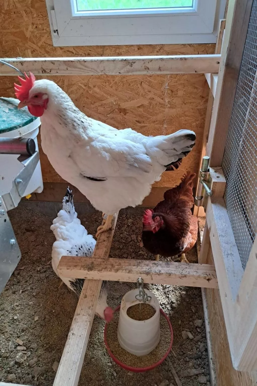 Ferien im Gugger - Wohnung Churfirsten-Image-tags.info