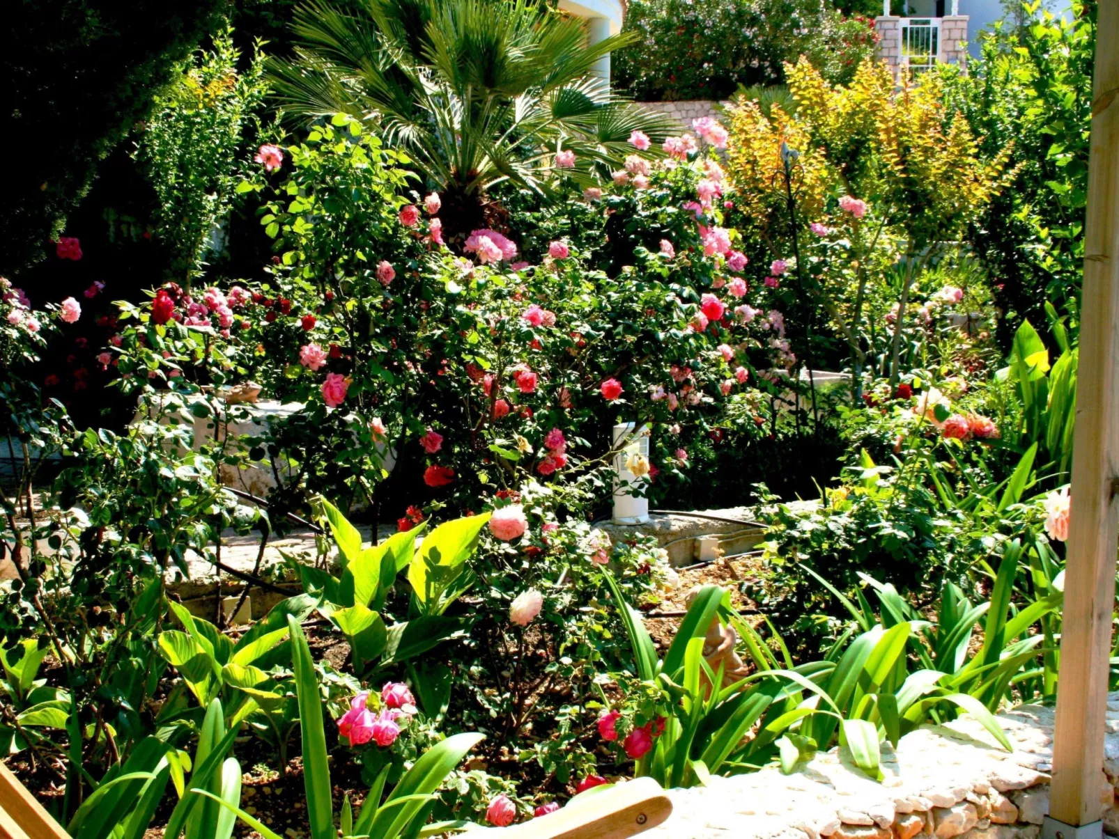 Tolle Wohnung in Drašnice mit Schönem Garten-Outside