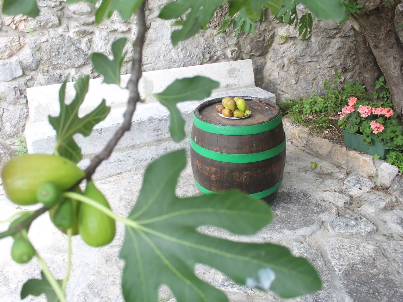 Geräumige Villa mit drei Schlafzimmern und einem ruhigen Garten-Outside