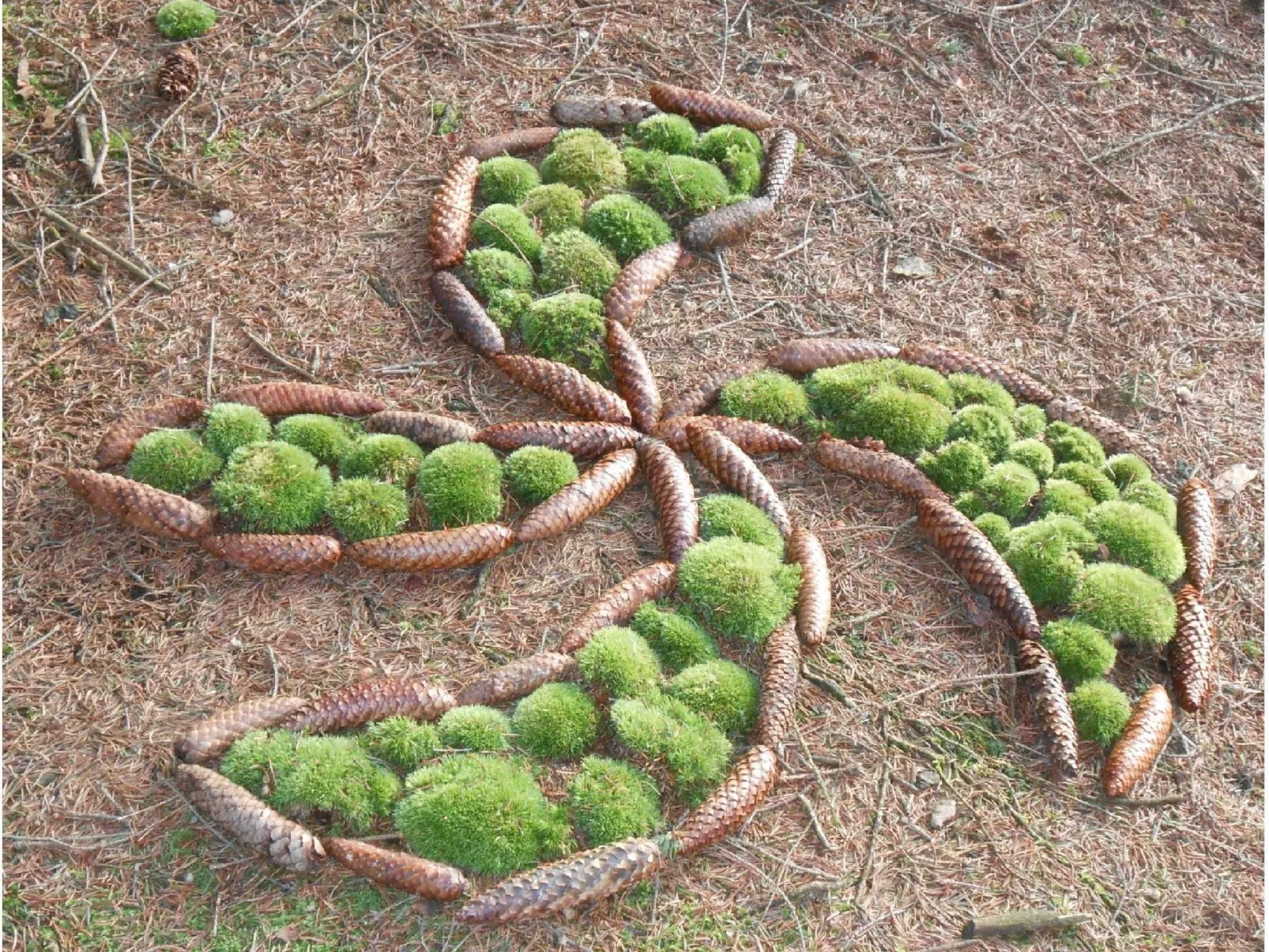 Haus Laura, Frymburk-Image-tags.info