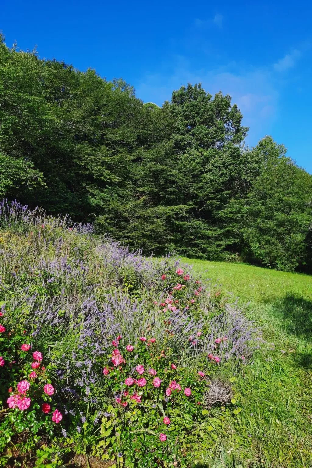 Landhaus in der Dordogne-Image-tags.info
