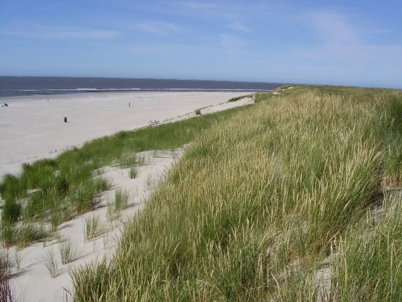 "Wad und Wal" mit Schwimmbad-Dehors