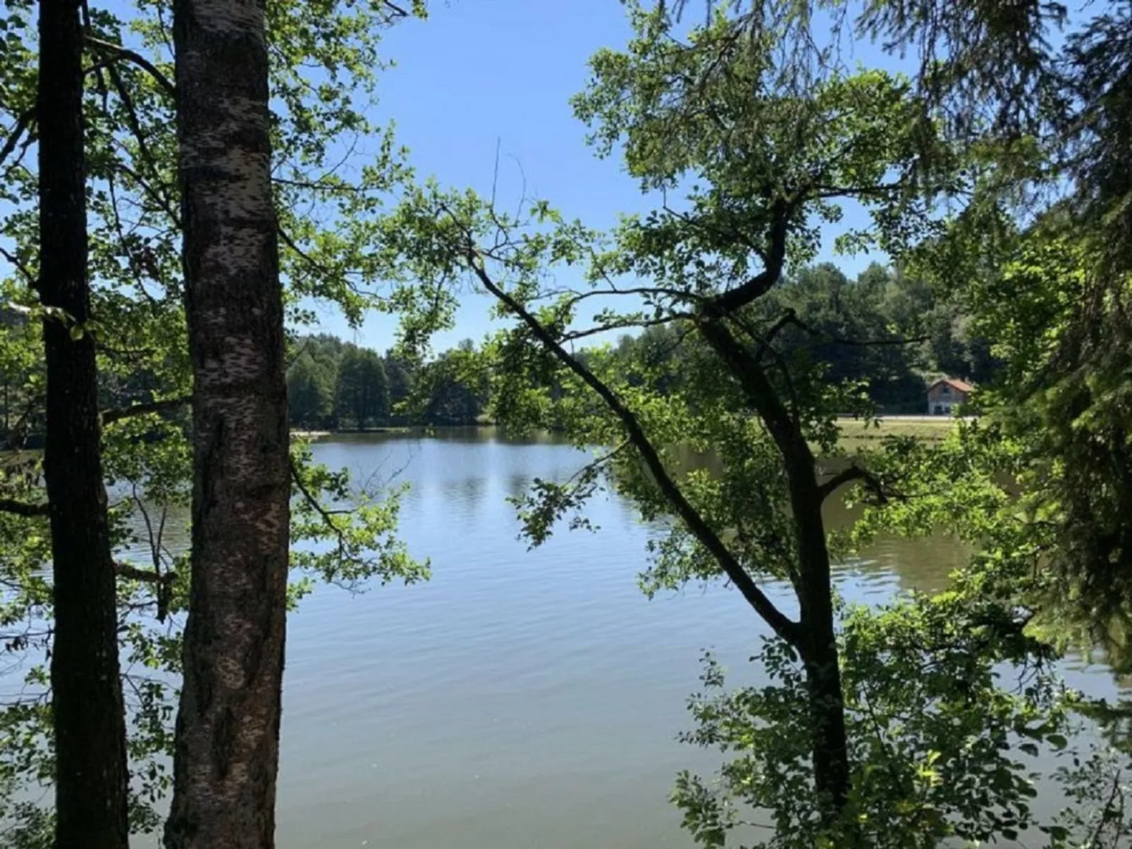 Bayerischer Wald auf 800m Höhe-Willkommen-Dehors