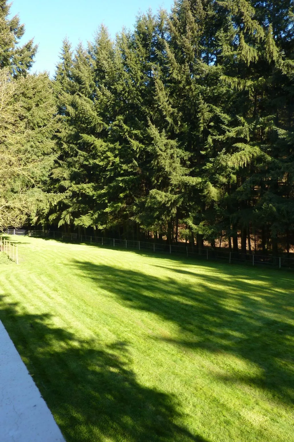 Holz-Blockhaus für vier Personen mit Terrasse-Outside