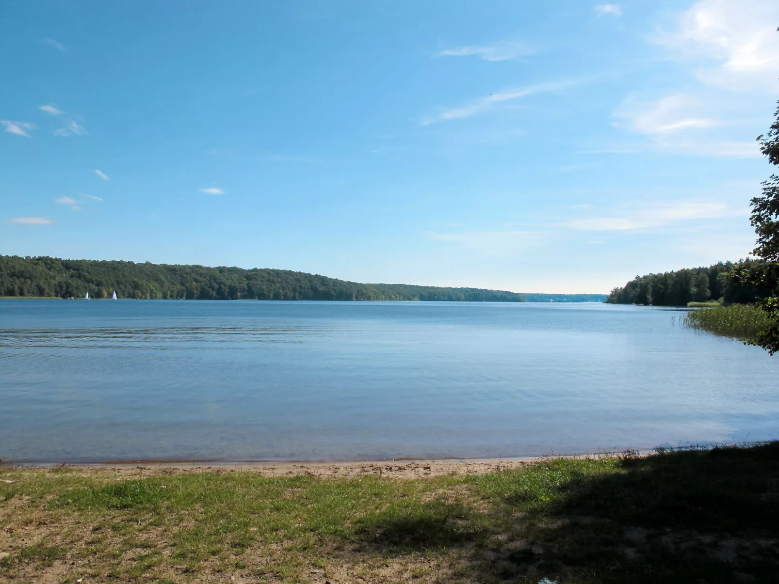 Direkt am Werbellinsee-Umgebung