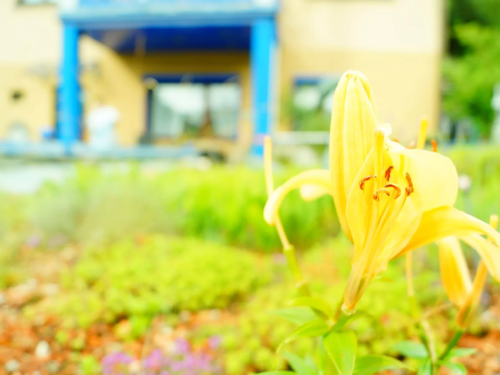 Monterosa in Baden-Baden-Draußen