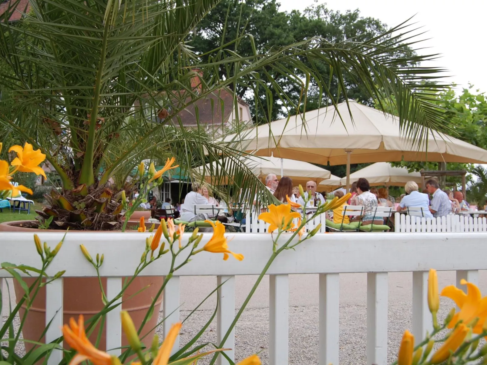 Rose Terrace-Draußen