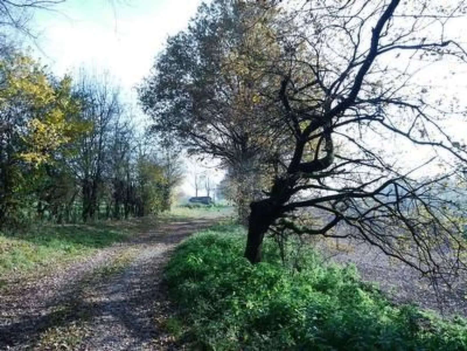 FeWo Haus Unkelbach-Dehors