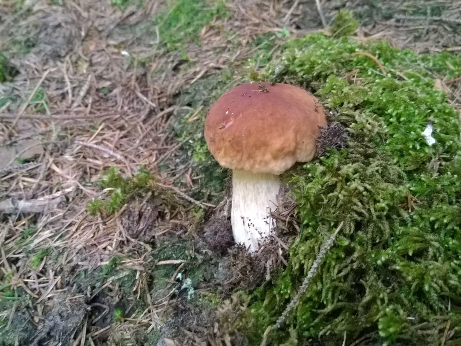 Charmantes Ferienhaus in Vordernberg mit Privatem Pool-Image-tags.info