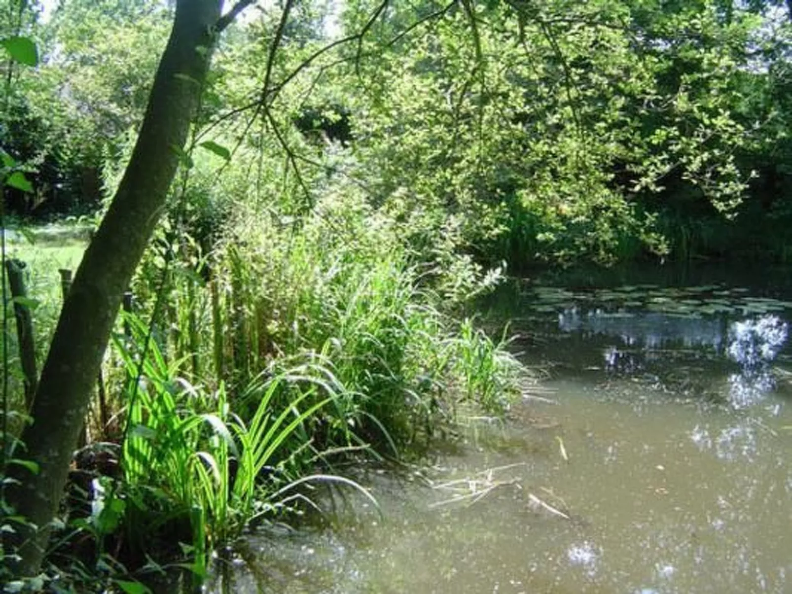 Im Ammerland-Image-tags.info