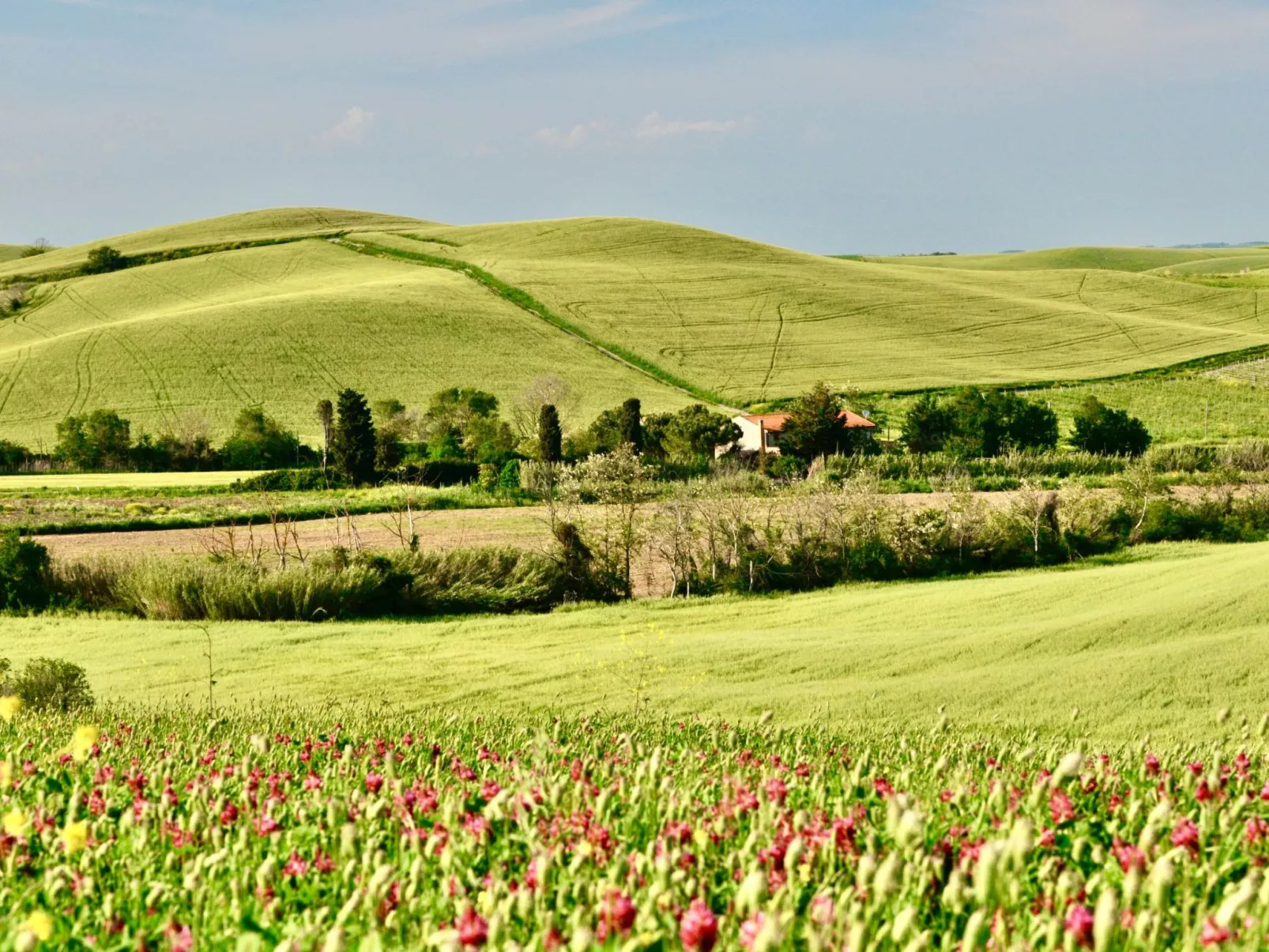 Ostoncino biodynamisch-Outside
