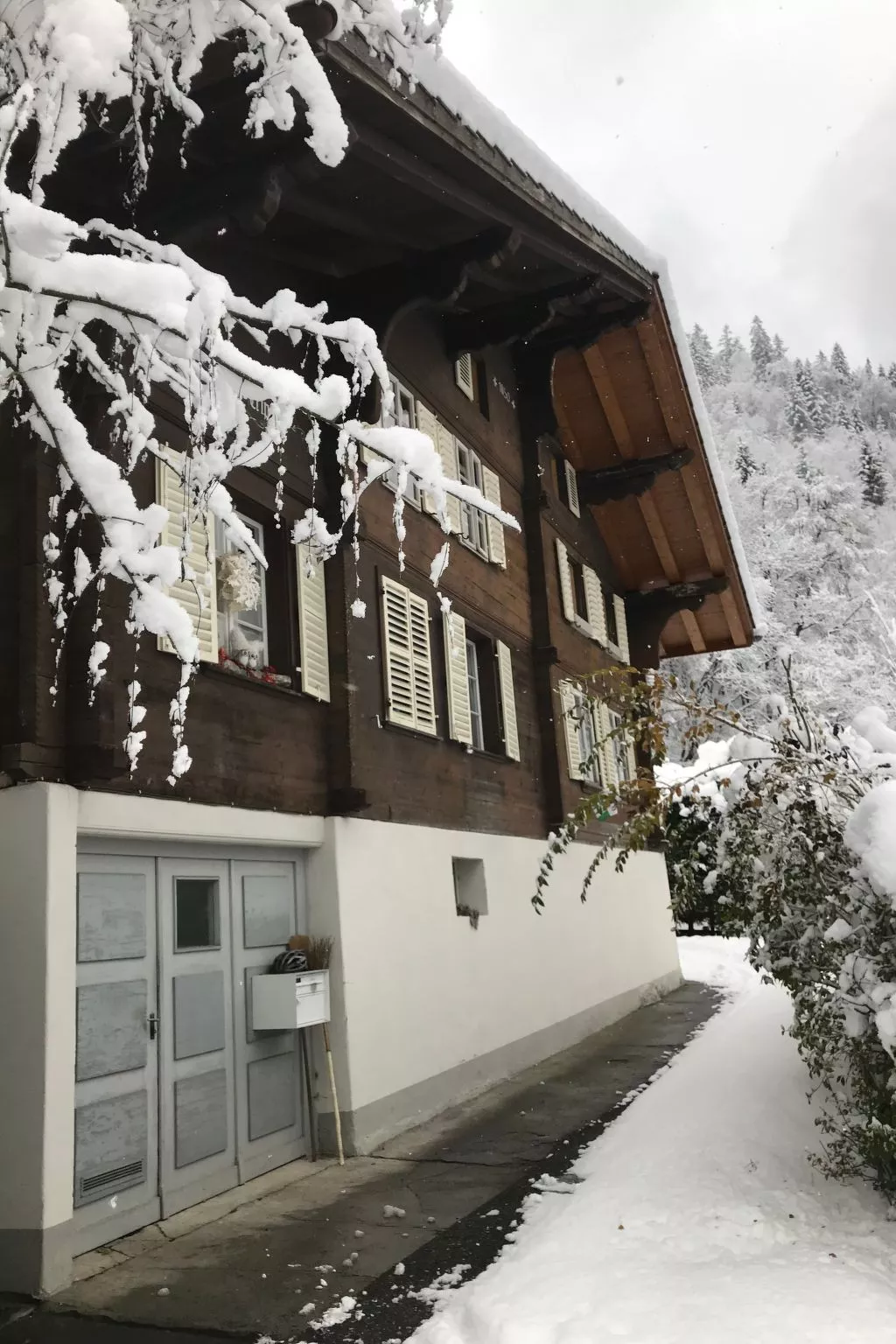 Chalet Tripfi-Outside