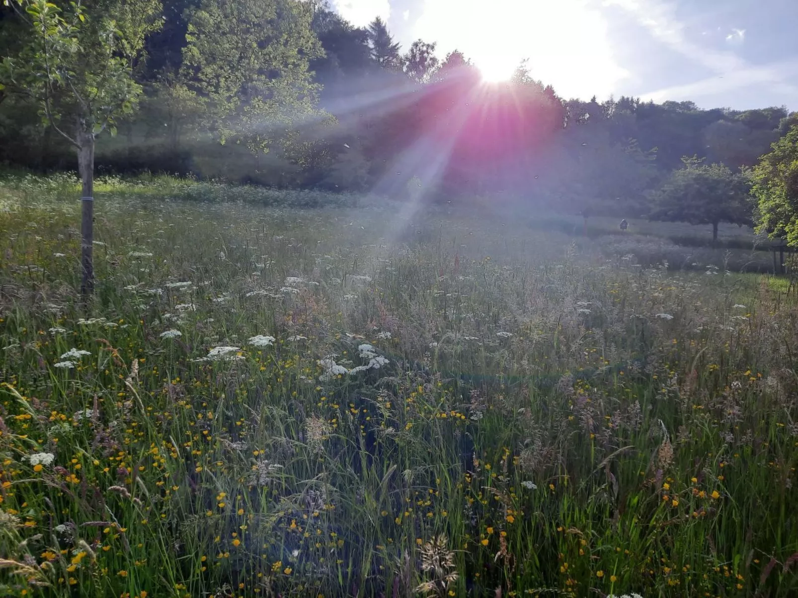 Kleiner Eifeltraum-Image-tags.info