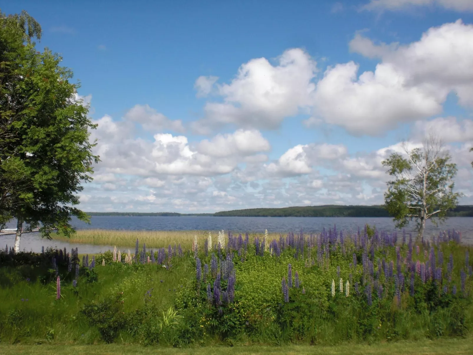 In Tibro mit Kleinem Garten-Draußen