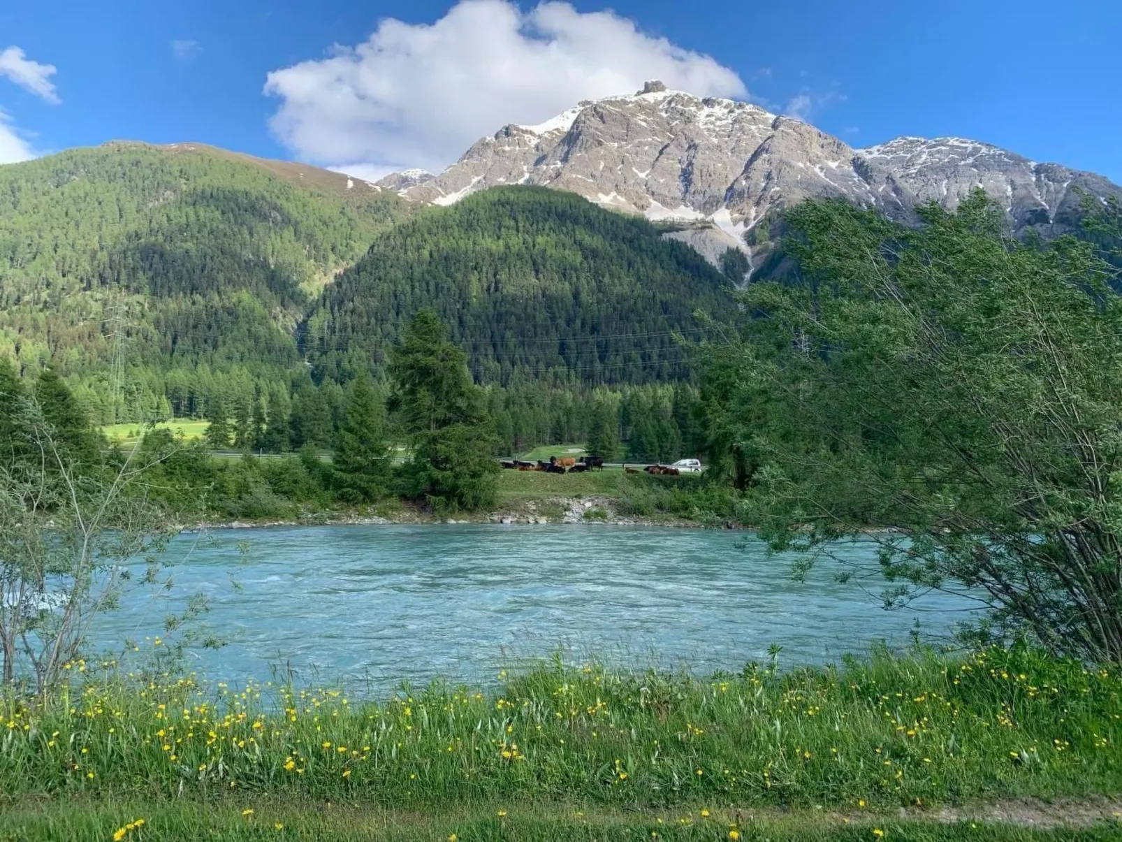 Chesa Genziana-Outside