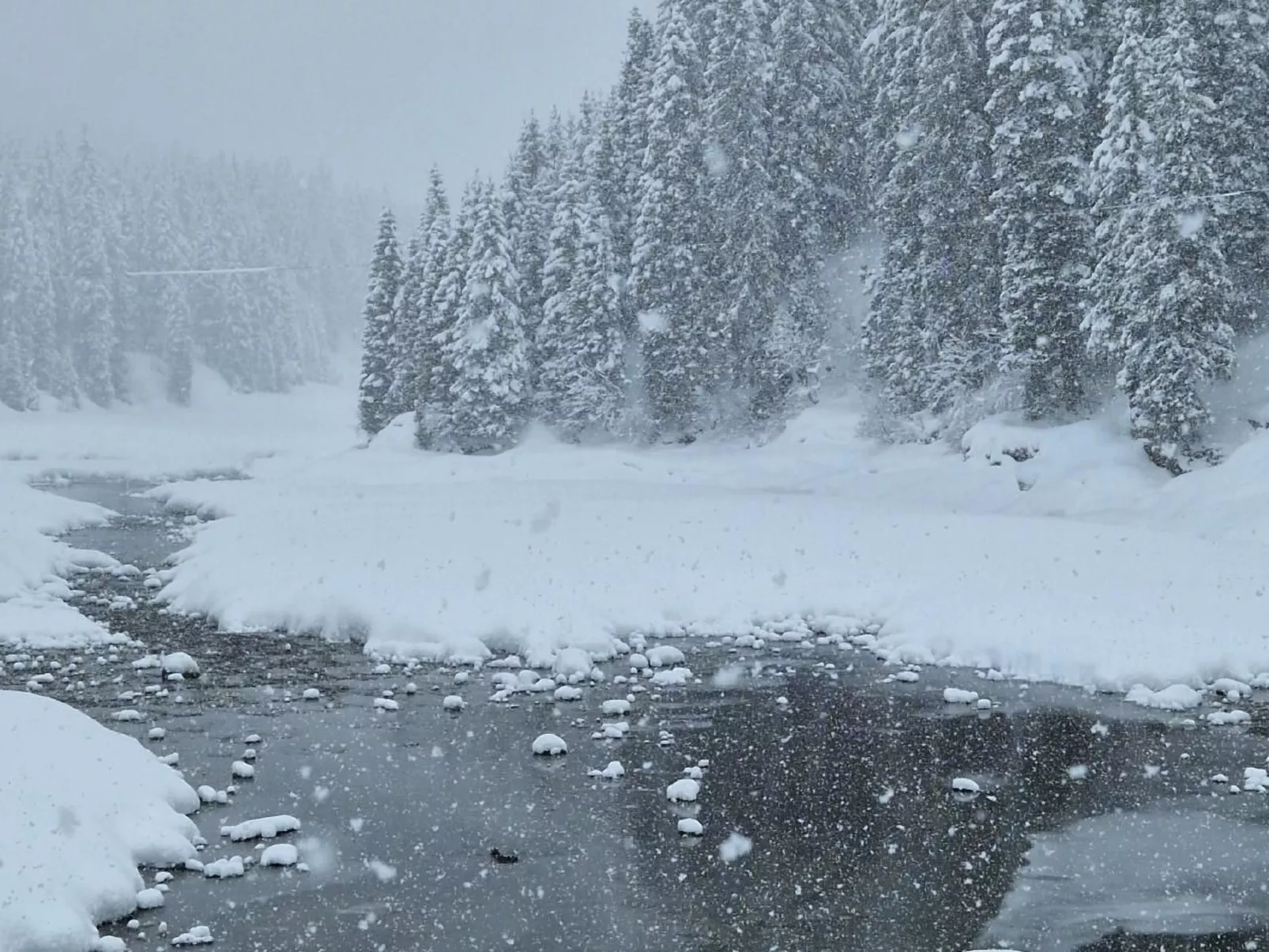 Wohnung Bella vista & Alp'sport-Image-tags.info