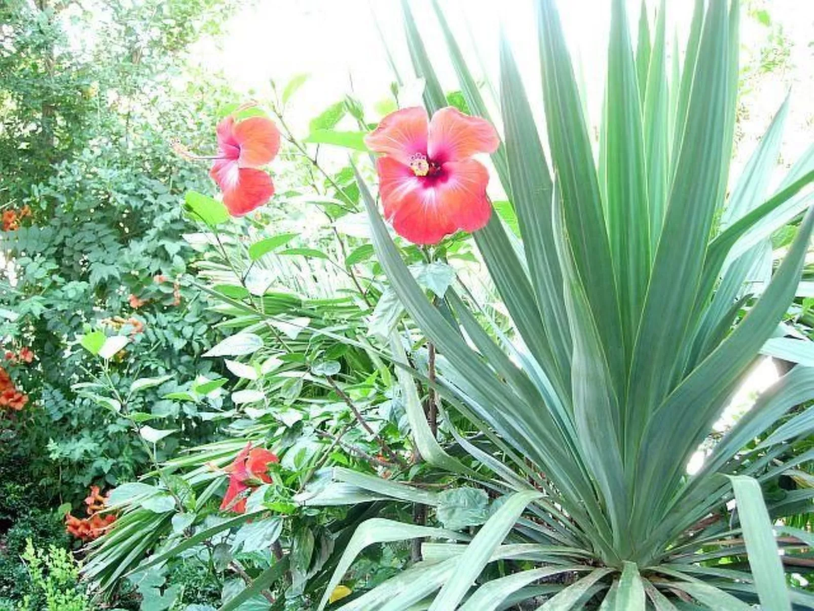 Hübsche Wohnung für zwei-Draußen