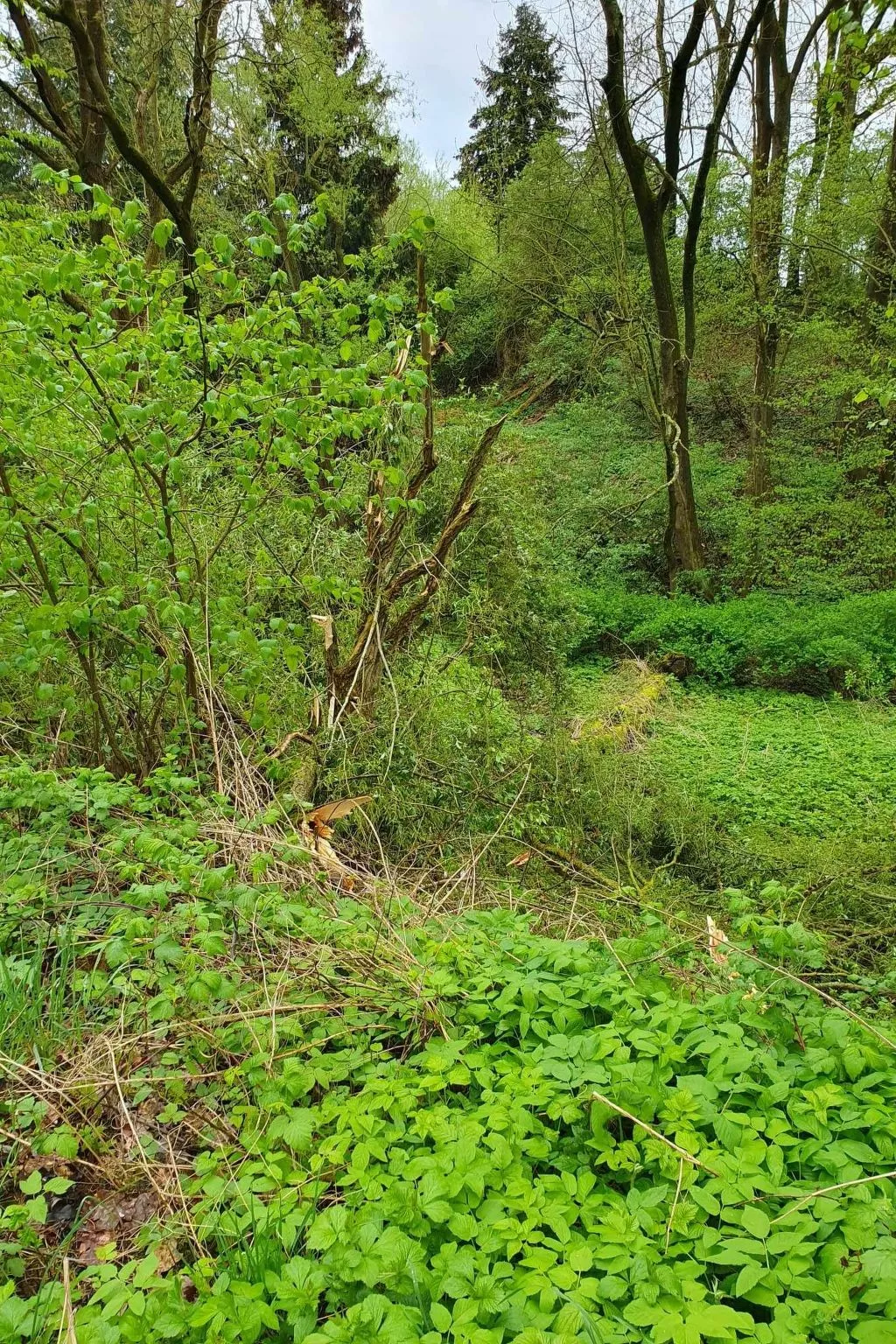 Apartment Gansäcker-Dehors
