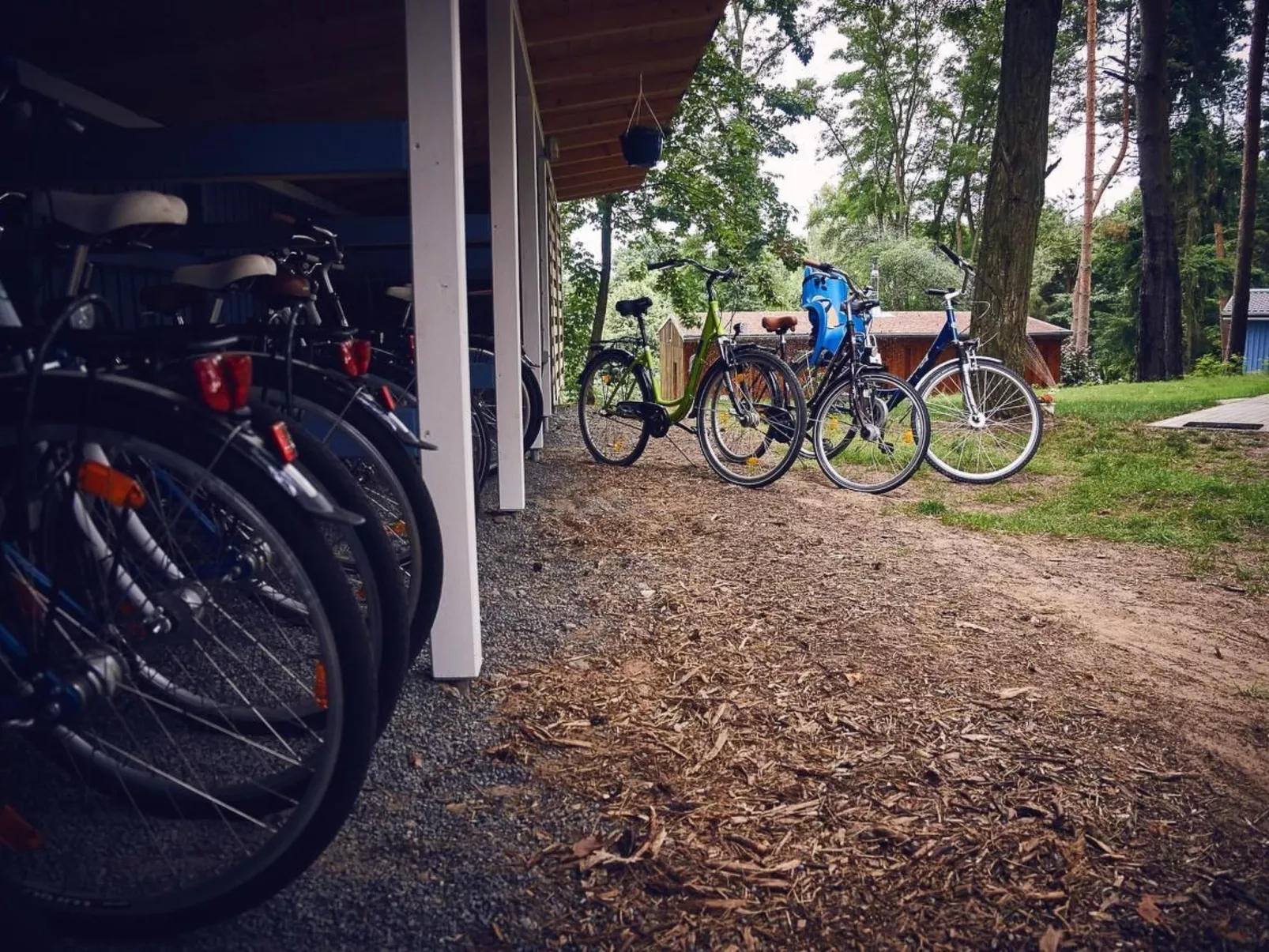 Waldhäuser-Draußen