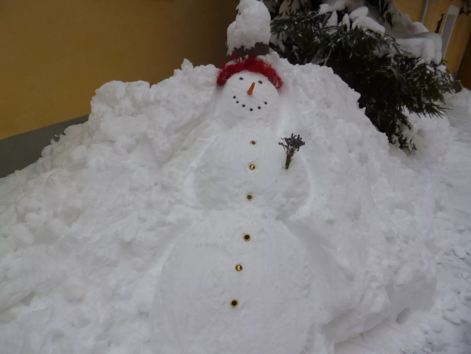 Linke-Image-tags.info