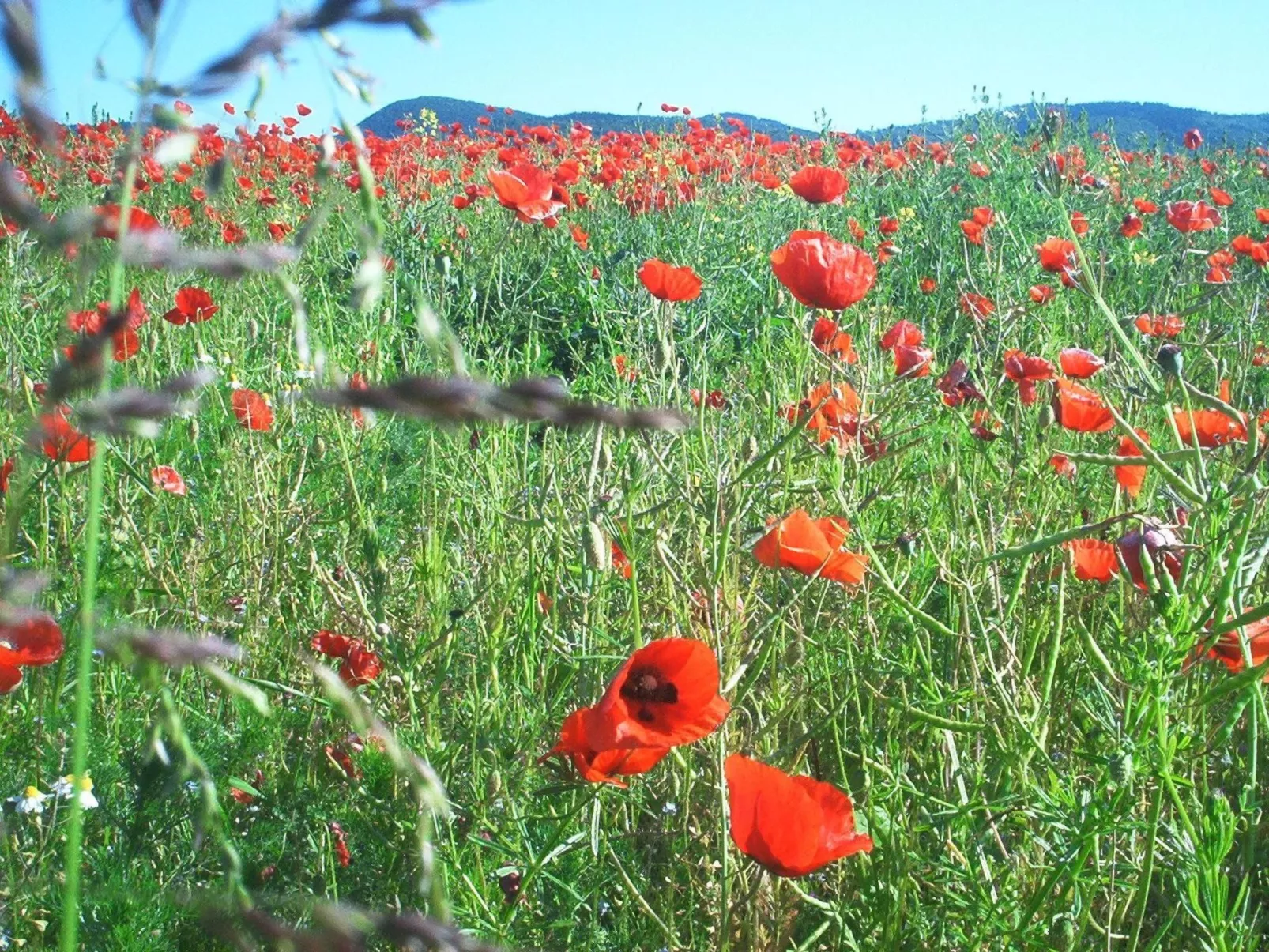 Fewo Stricker 23-Draußen