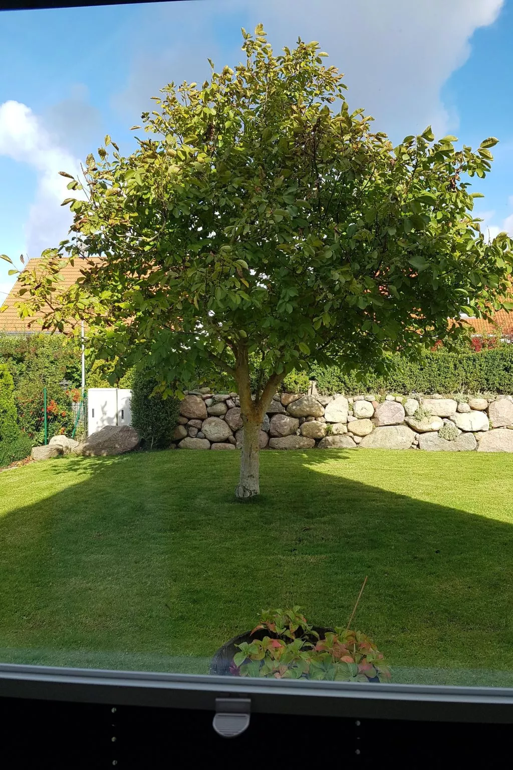 Ankerplatz in Börgerende-Rethwisch-Outside