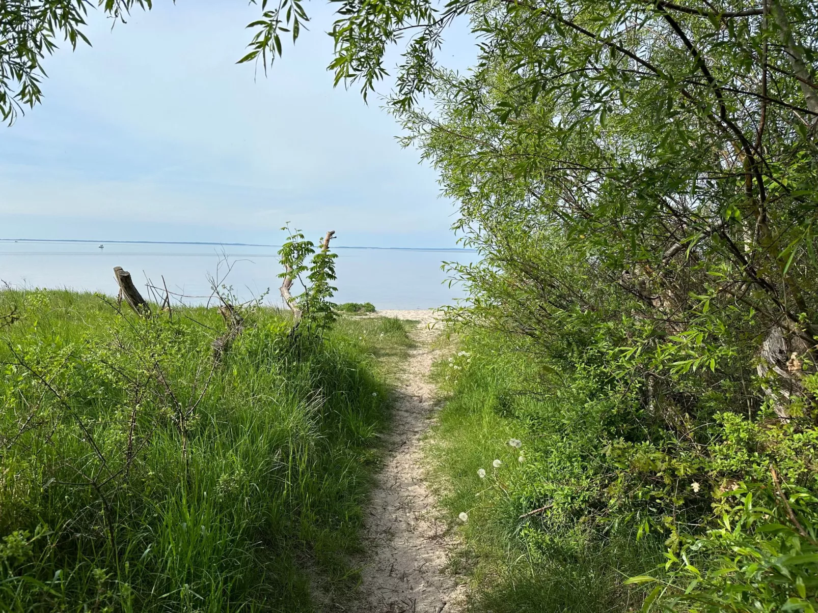 Ferienbungalow Lais - Seite 1-Image-tags.info