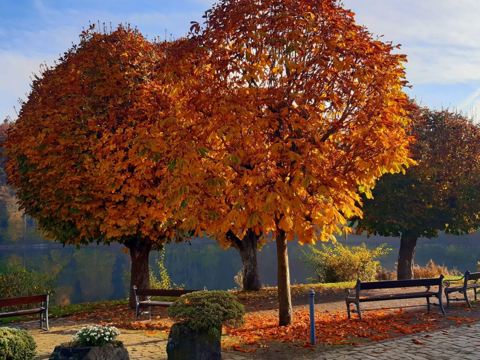 Landhaus Erika-Dehors