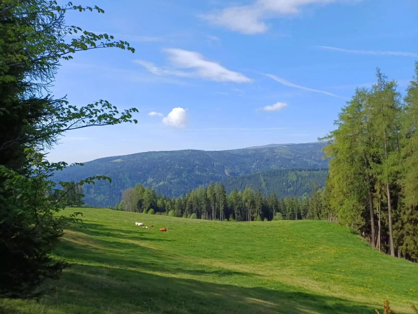 Gemütliche Almhütte direkt im Skigebiet-Outside