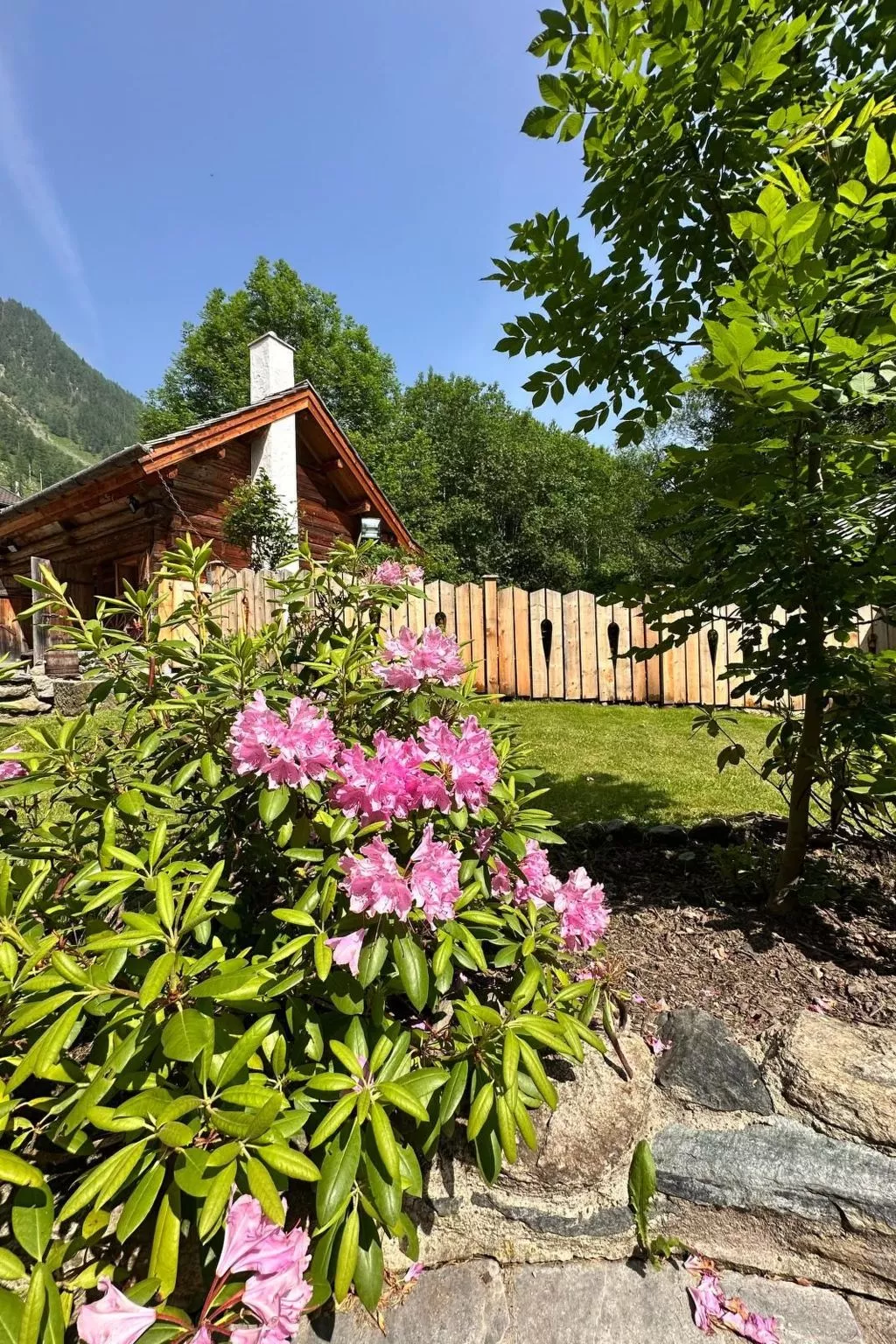 Romantikhütte-Dehors