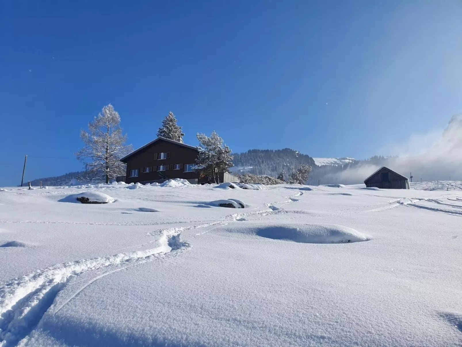 Oberguet-Image-tags.info