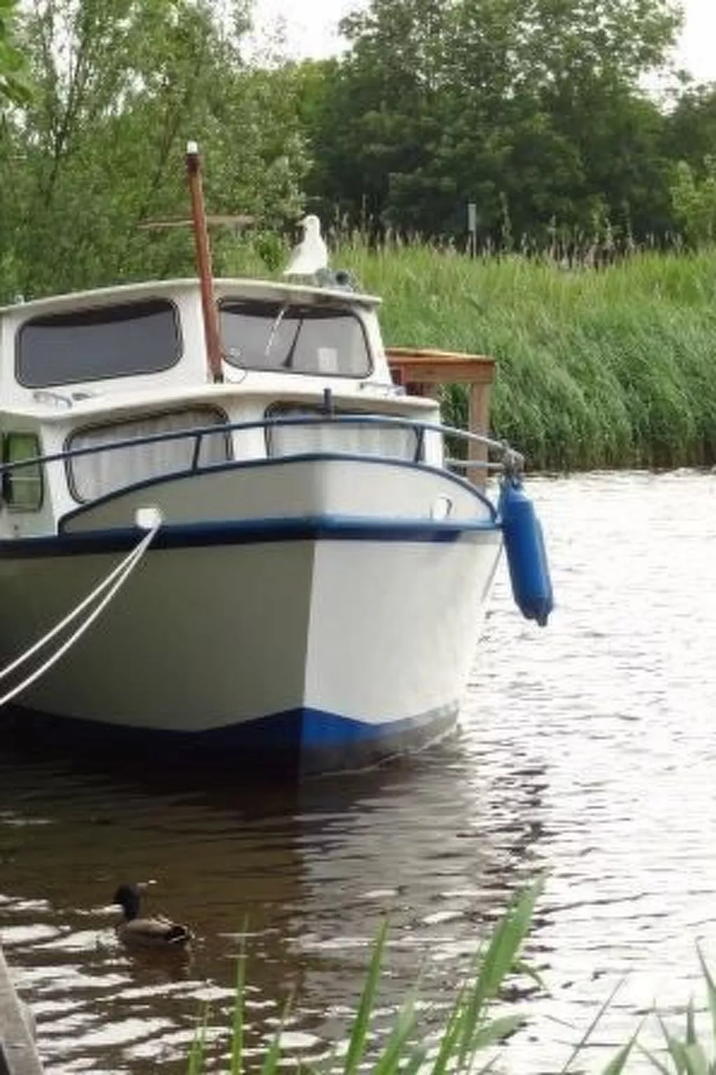 "Der Austernfischer"-Dehors