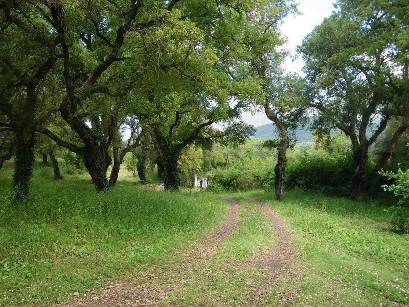 Wunderschönes Ferienhaus mit eigener Terrasse-Draußen